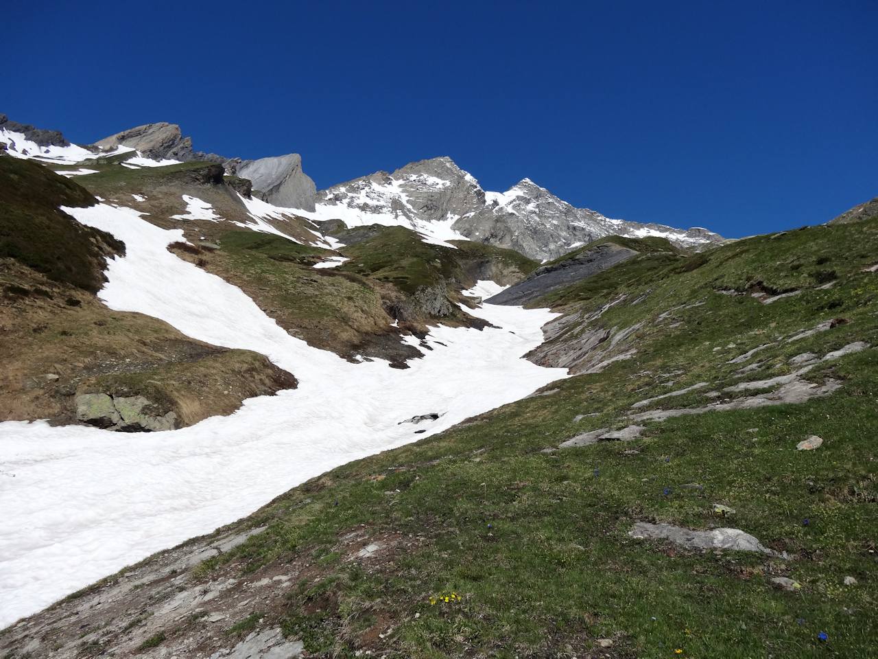 #20 Ruisseau des Lanchettes : Danger en dessous de 2300 m ! Ruisseau des Lanchettes : Danger en dessous de 2300 m !