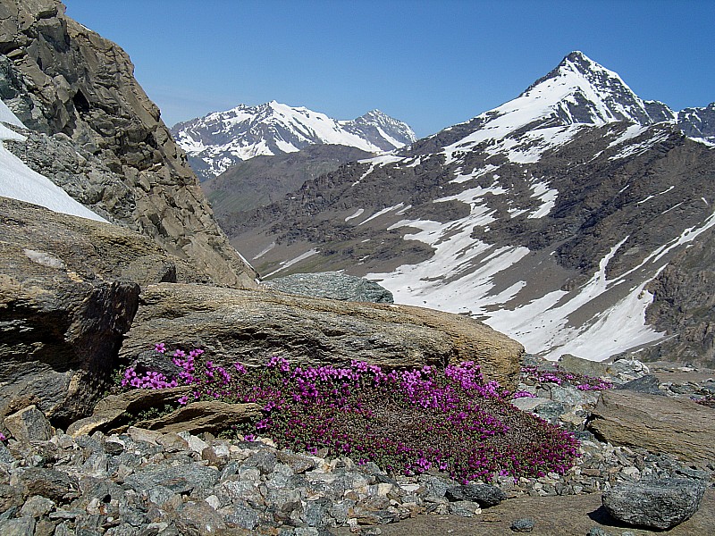 #8 Au col de la Tsanteleina : fin de saison de toutes les couleurs Au col de la Tsanteleina : fin de saison de toutes les couleurs