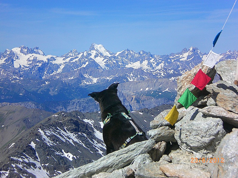 #4 Sommeiller : pause au sommet, en admirant les Ecrins. Sommeiller : pause au sommet, en admirant les Ecrins.