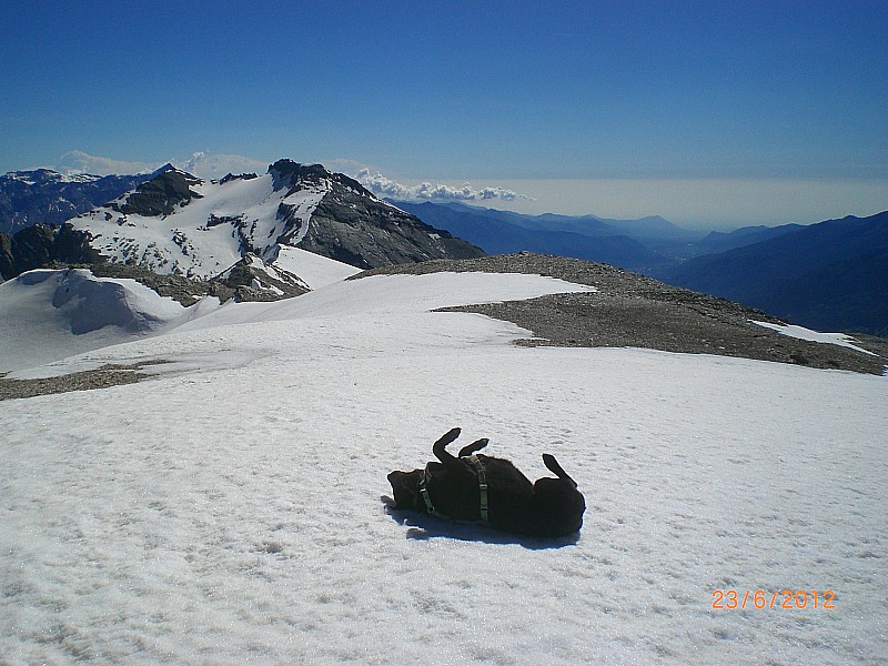 #3 Sommeiller : C Sommeiller : C'est la dernière de la saison, alors profitons-en..!
Au fond, le glacier Ferrand.
