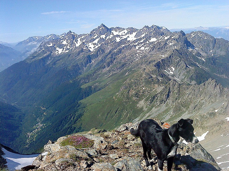 #5 Belle Etoile, dent du Pra : Grand Pic de Belledonne et l Belle Etoile, dent du Pra : Grand Pic de Belledonne et l'été en bas