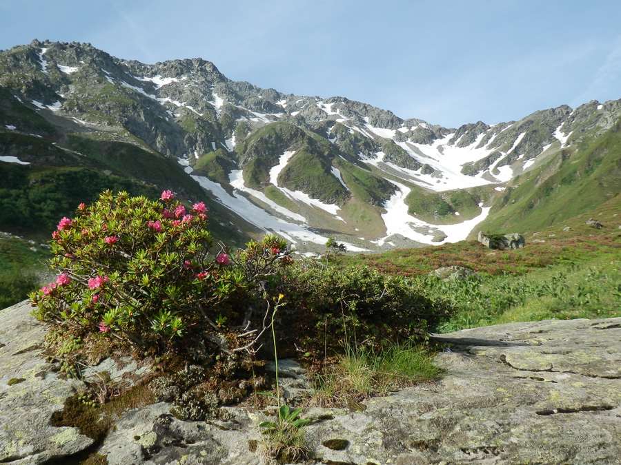 #3 Vers la Jasse : Cette combe reste toujours chargée très longtemps Vers la Jasse : Cette combe reste toujours chargée très longtemps