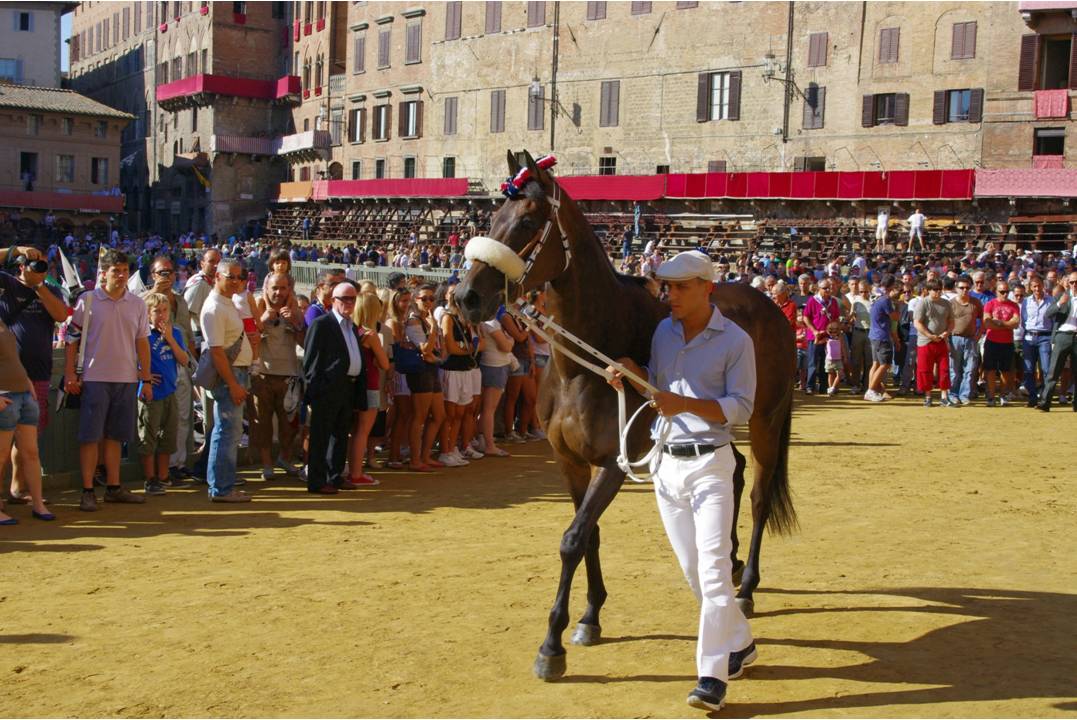#18 Au Palio : Beauté des cimes daltitude... mais la culture latine n Au Palio : Beauté des cimes daltitude... mais la culture latine n'est pas inintéressante non plus... un cheval courant le Palio de Sienne.... exprime aussi, la chance de vivre des moments de création. Alors... rangeons les skis avec soin.