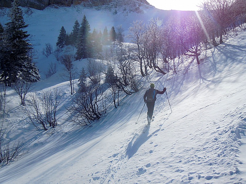 Combe d'accès : dans la combe, c'est l'hiver. Neige froide et légère, excellente à skier.