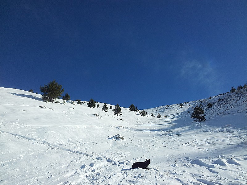 #1 côte salières : état de l côte salières : état de l'enneigement