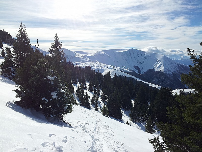 #2 vers le grand serre : attirant vers le grand serre : attirant