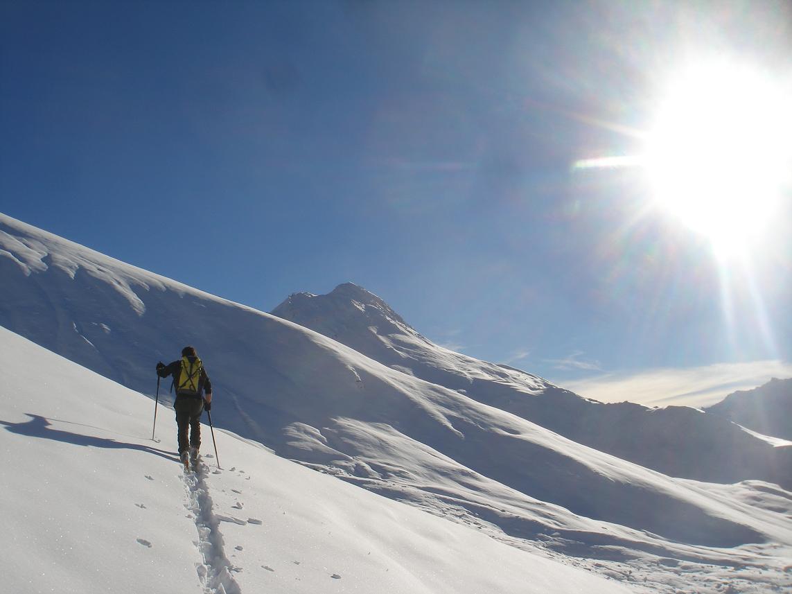 #1 beau soleil! : et beau fredo! beau soleil! : et beau fredo!