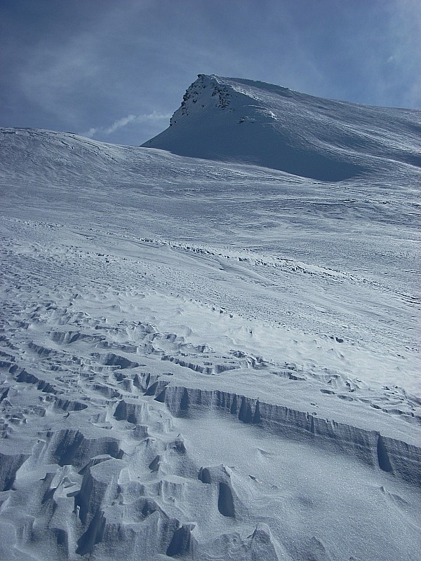#4 Cime du Grand Vallon : Le sommet, non tracé Cime du Grand Vallon : Le sommet, non tracé