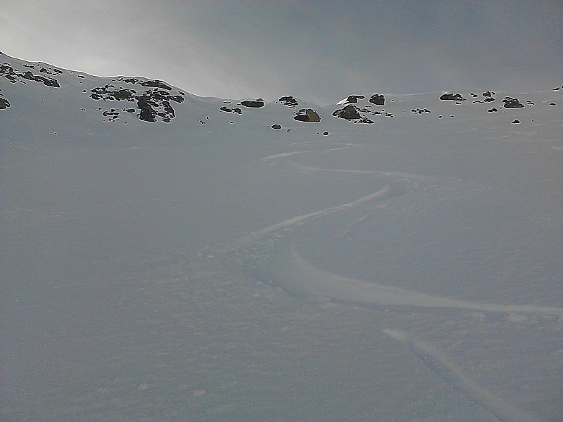 #10 descente : poudre 5* toute la descente descente : poudre 5* toute la descente