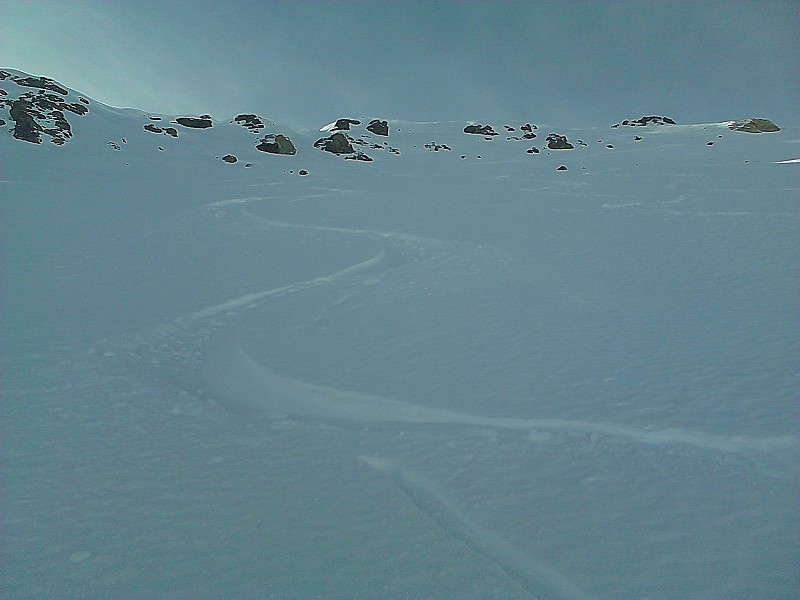 #9 traces : la descente dans de la poudreuse 5* traces : la descente dans de la poudreuse 5*