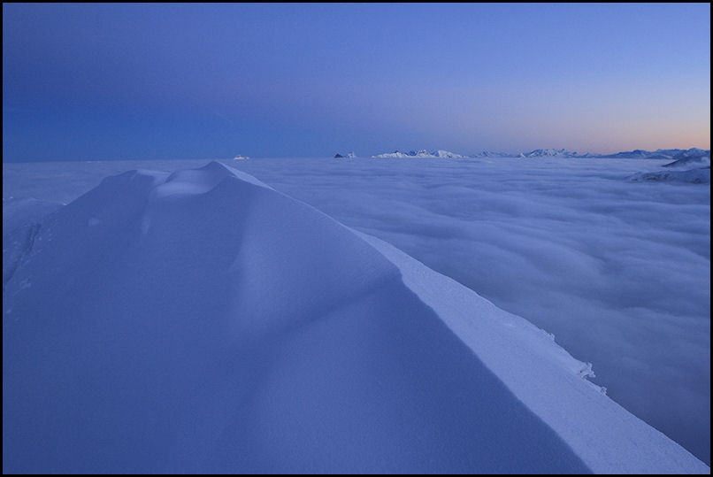 #3 Tarte meringuée : et son couli Tarte meringuée : et son couli