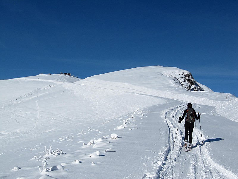 #5 Montée vers : la Tête du Pré des Saix. Montée vers : la Tête du Pré des Saix.
