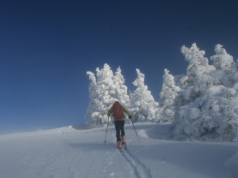 #8 en montant au dôme d en montant au dôme d'Arguille : enfin le soleil ... il est environ 15h00