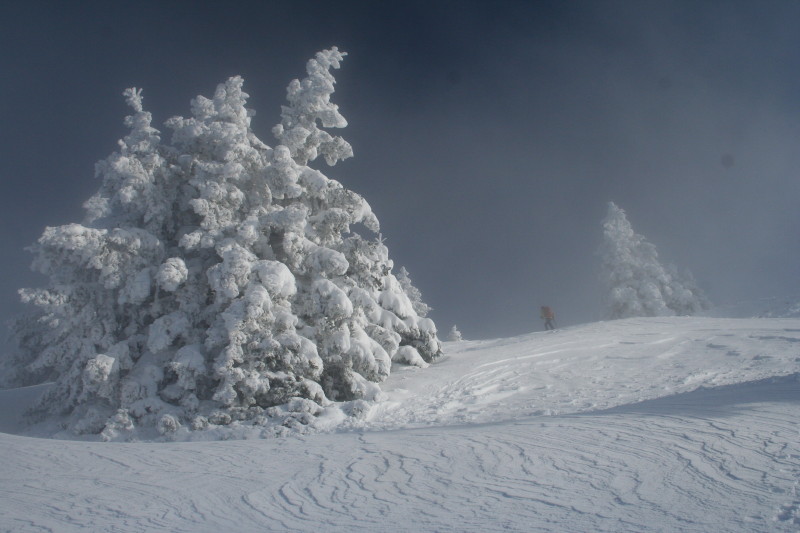 #6 en montant au dôme d en montant au dôme d'Arguille : c'est beau des arbres chargés de neige ...
