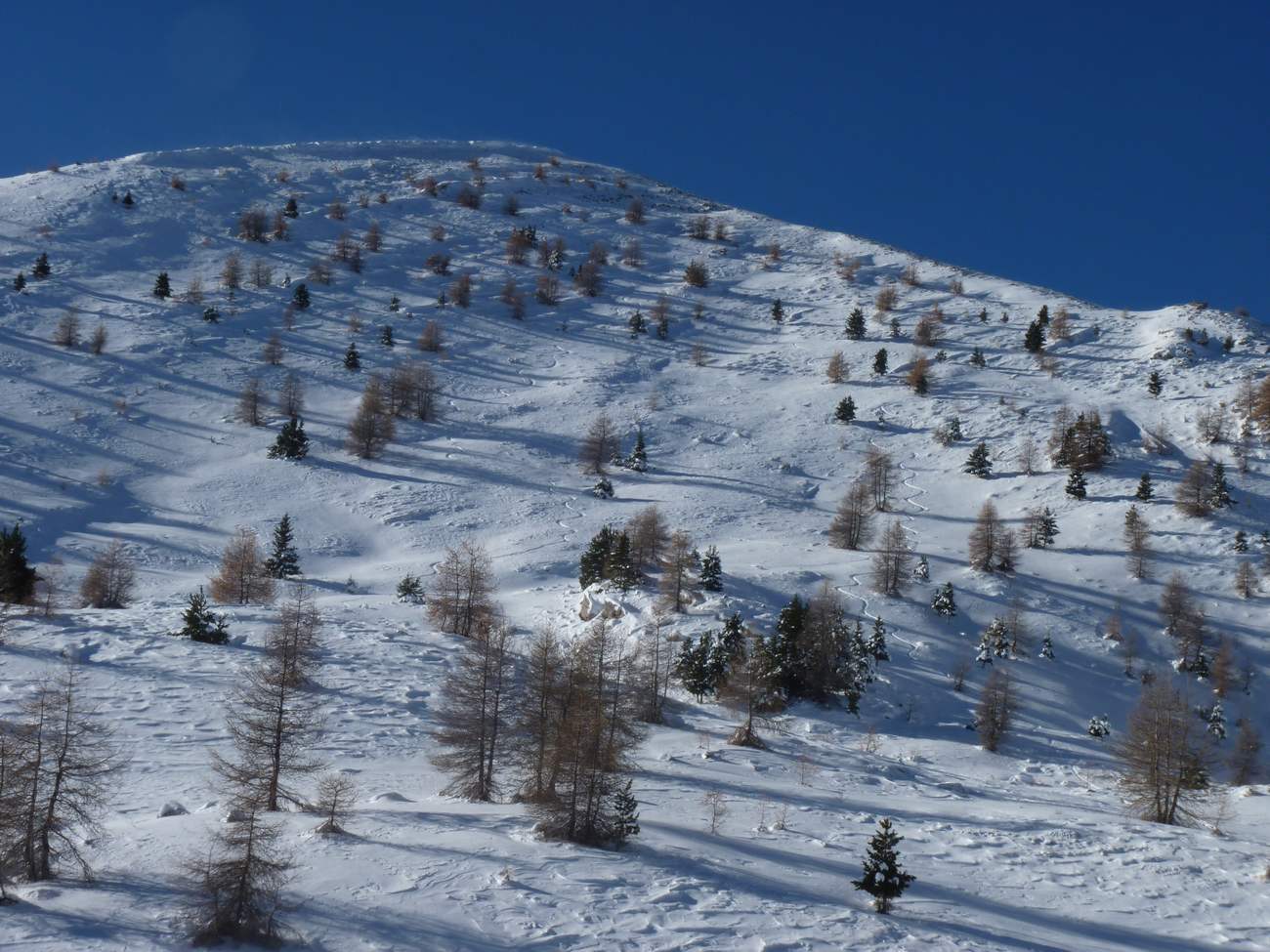 #4 Dans la descente : Sous le sommet avec les traces Dans la descente : Sous le sommet avec les traces
