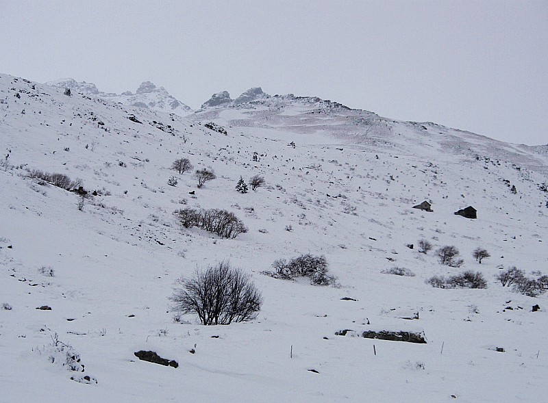 Chalets du Thyl/Mt Brequin : Une idée de l'enneigement du secteur... quasi catastrophique!