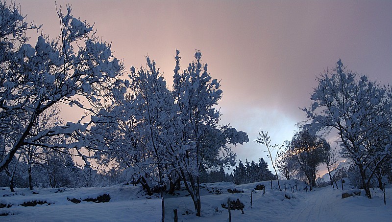 Lumière matinale : Encore de belles couleurs