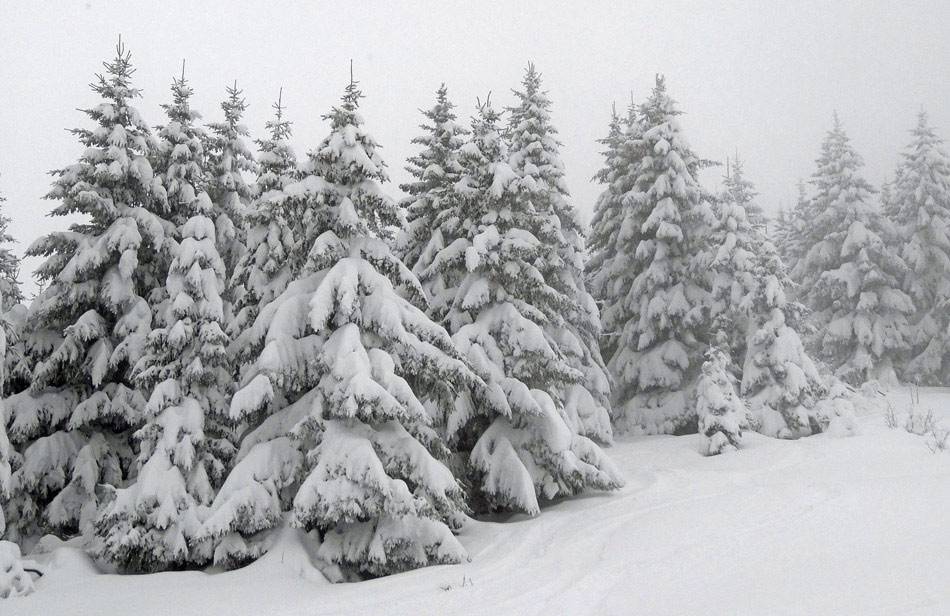 Pointe d'Andey : Belle ambiance hivernale pour un début décembre.
