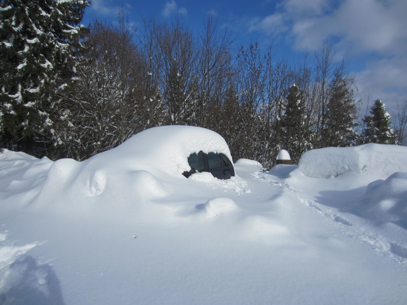 car tiocan : la voiture se cache