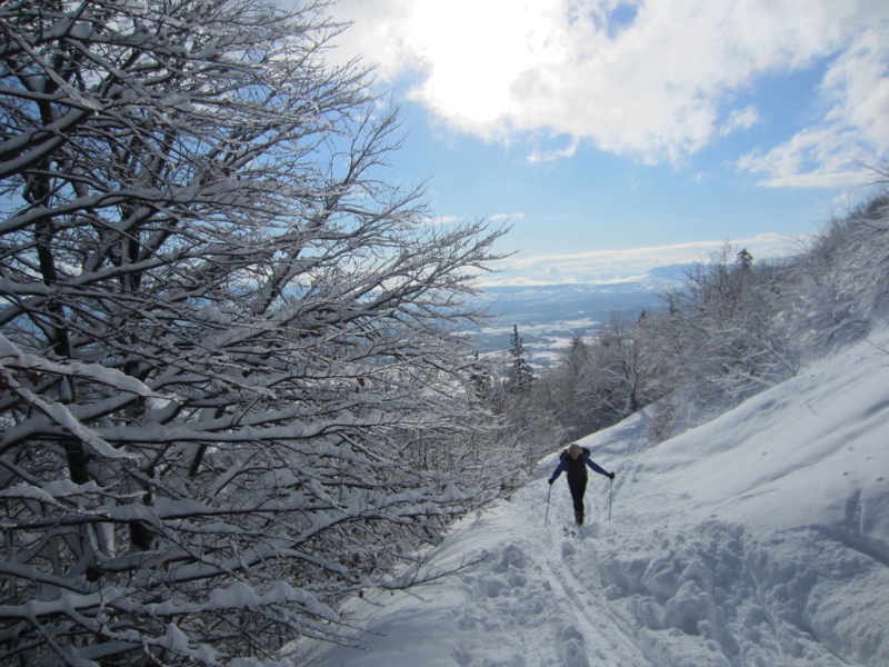 limaçon lent : sur le sentier  vers 1250