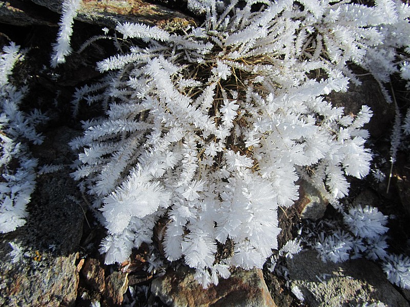 #4 Moravachère : Corail de Montagne!! Moravachère : Corail de Montagne!!