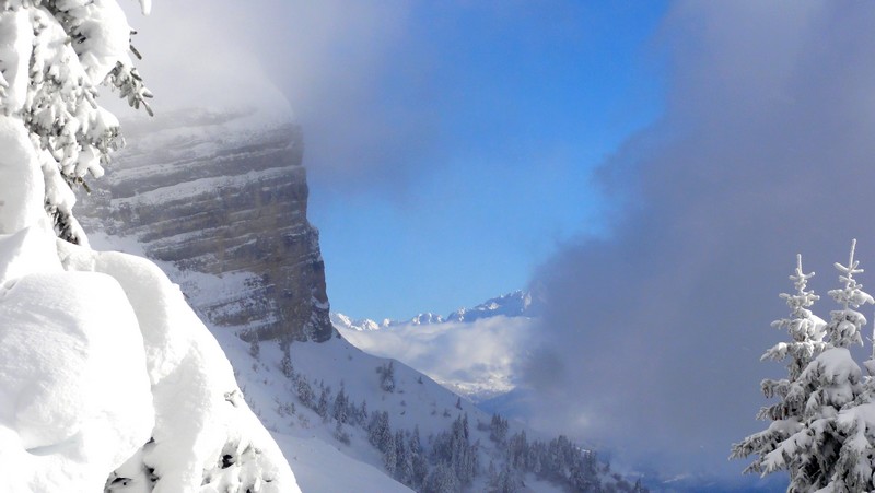 #3 chartreuse : on en verra pas plus chartreuse : on en verra pas plus