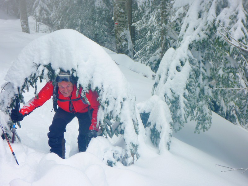 #2 chartreuse : Gille a la bagare chartreuse : Gille a la bagare