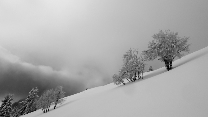 chartreuse : on est pas mal la