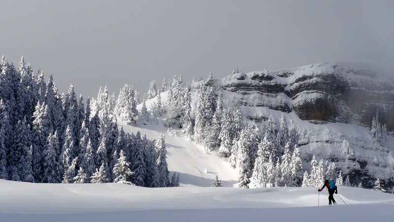 chartreuse : c'est beau