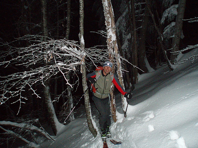 Alpaga dans la forêt : 4 skieurs nous ont fait la trace
