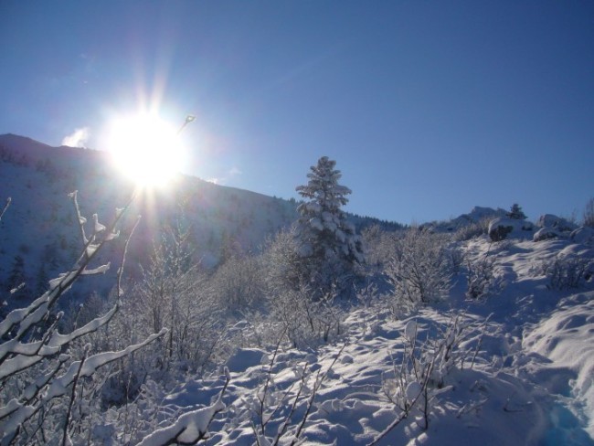 Sur la crête : altitude 1640 environ, avant la "combe oursiere"... c'est bien blanc mais le pire est encore à venir