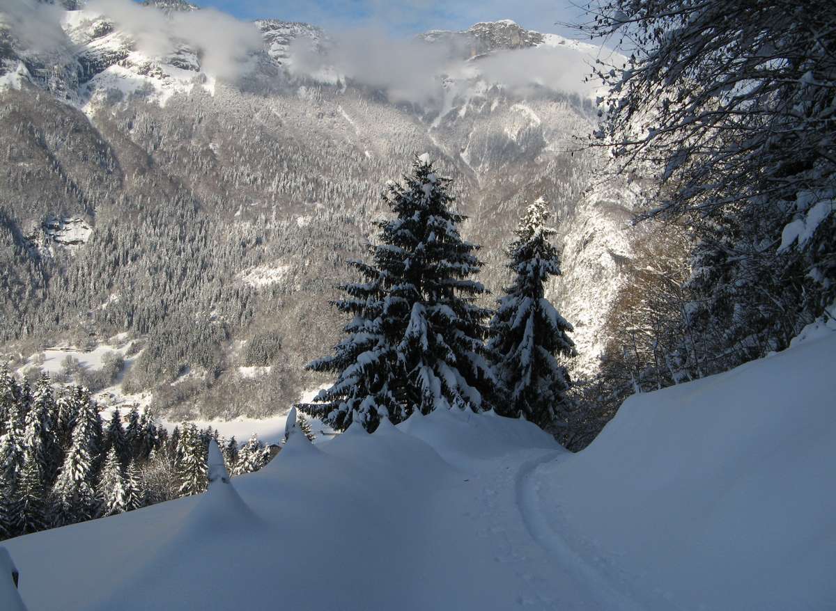 #8 Pointe de Talamarche, combe N : Une piste bien agréable Pointe de Talamarche, combe N : Une piste bien agréable