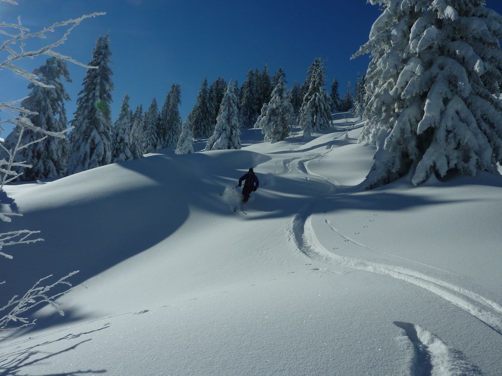 #3 Combe de Mauvernay : trop bon de faire sa trace dans une neige aussi bonne Combe de Mauvernay : trop bon de faire sa trace dans une neige aussi bonne