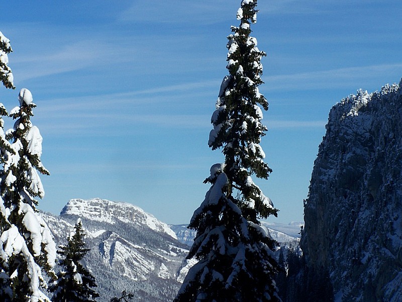 #1 Petit Som, couloir W : LeMont Outherand, depuis la foret sous le col de leschaud. Petit Som, couloir W : LeMont Outherand, depuis la foret sous le col de leschaud.