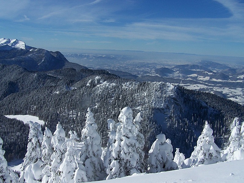 #2 Petit Som, couloir W : L Petit Som, couloir W : L'entrée de la cheminée W gardée par des sapins glacés. Au loins le Mt Pilat et les Mts du Forez.