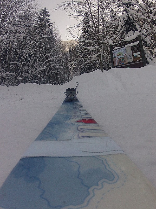 #1 ski ski