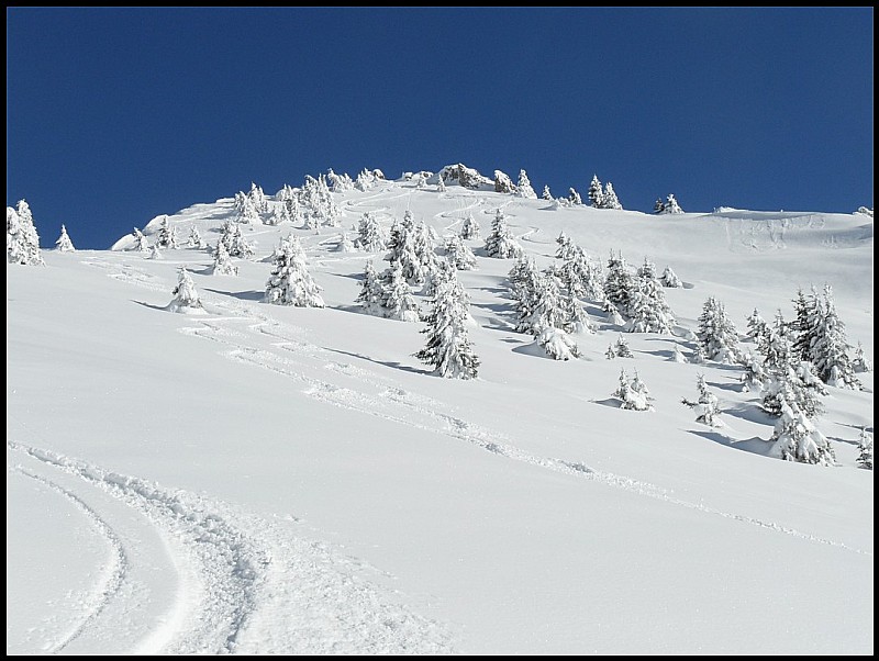 #6 Tavaneuse : bon! Tavaneuse : bon!