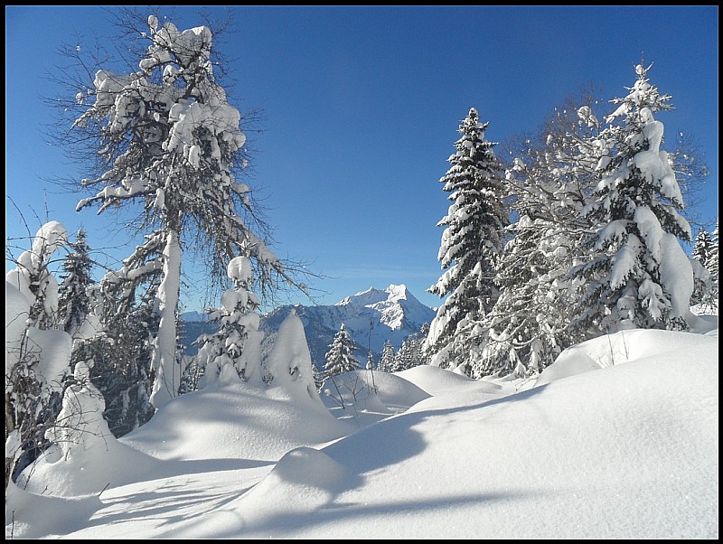 #1 neige-tavaneuse : avant chalets de Brion neige-tavaneuse : avant chalets de Brion