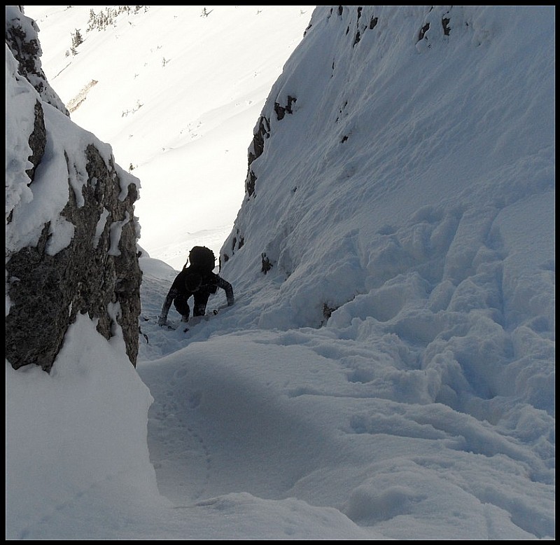 #5 Tavaneuse : Loulou dans le couloir: ça brasse! Tavaneuse : Loulou dans le couloir: ça brasse!