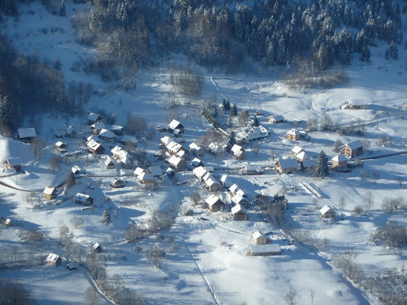 #8 Friz Friz' home sweet home