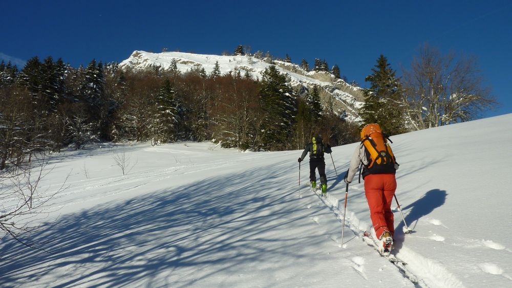 #10 col de Fontanieu : fin de la 3eme montée avec le sommet du Colleret au dessus col de Fontanieu : fin de la 3eme montée avec le sommet du Colleret au dessus