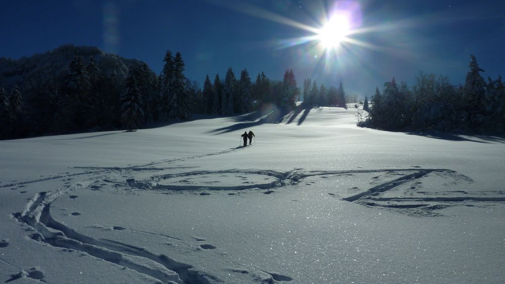 #5 Clairiere sommitale : une dedicace perso au 1er plan !! Clairiere sommitale : une dedicace perso au 1er plan !!