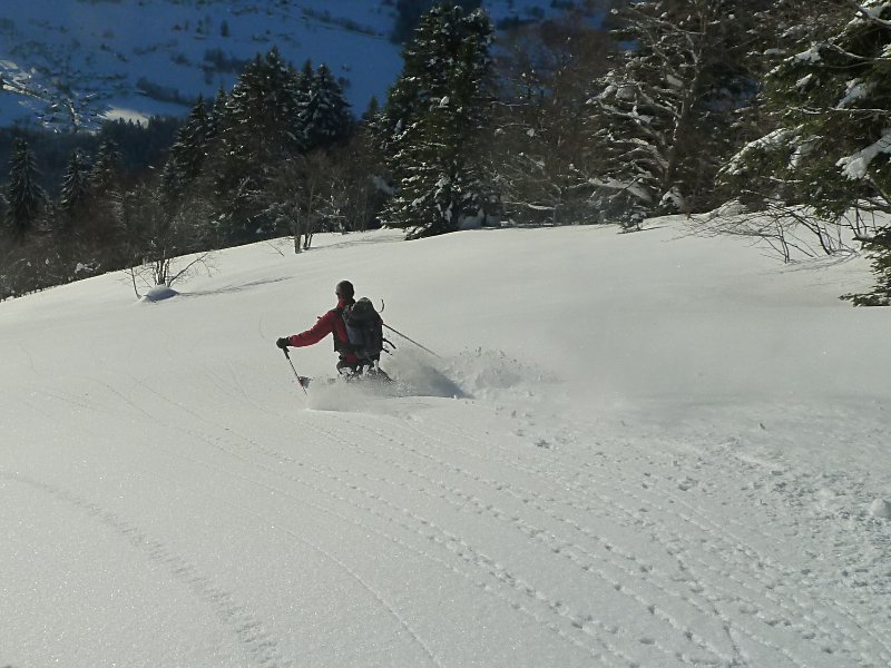 #12 Clairiere : Toz ouvre le bal Clairiere : Toz ouvre le bal