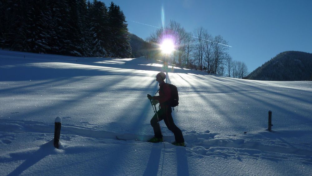 #4 El-Manu : son meilleur profil !! El-Manu : son meilleur profil !!