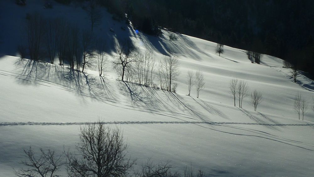 #3 Ombritude : jolis contrastes Ombritude : jolis contrastes