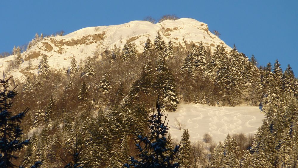 #16 Le Colleret : on a pas gaché la clairiere ! Le Colleret : on a pas gaché la clairiere !
