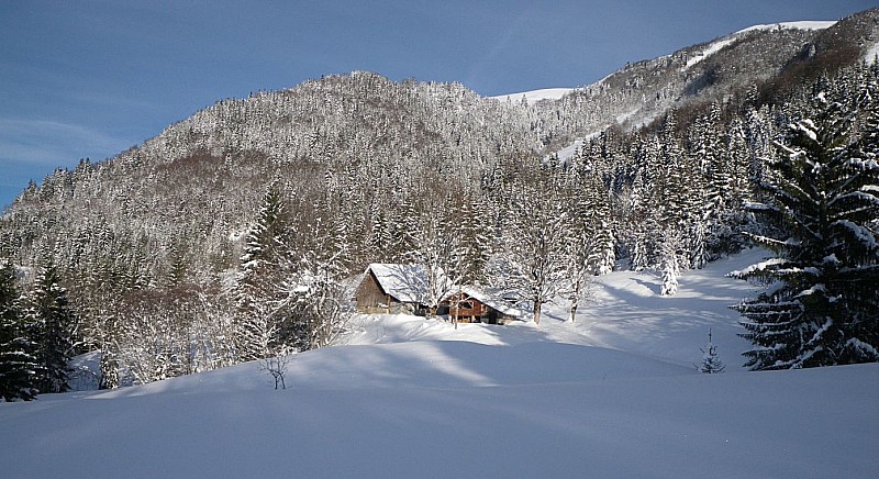 #9 Chalet : Si vous cherchez un brin de tranquilité Chalet : Si vous cherchez un brin de tranquilité