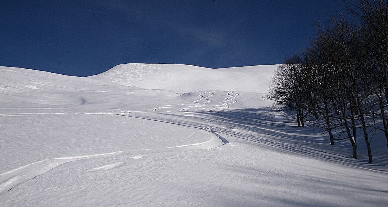 #5 Trace sous le sommet : Traces sous le sommet de Sulens pente Ouest, un vrai régale Trace sous le sommet : Traces sous le sommet de Sulens pente Ouest, un vrai régale