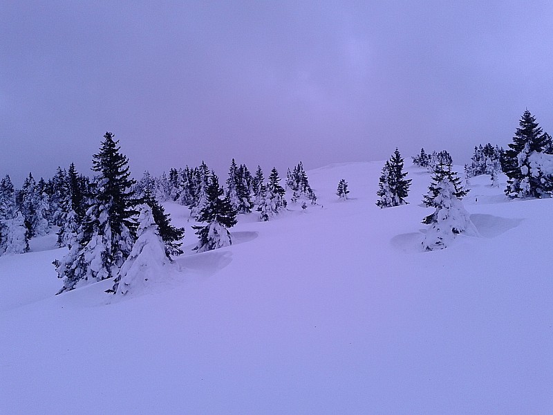 #2 Montrond : La neige a été travaillée par le vent ici il ya toujours du vent
les conifères sont détourés jusqu Montrond : La neige a été travaillée par le vent ici il ya toujours du vent
les conifères sont détourés jusqu'au sol