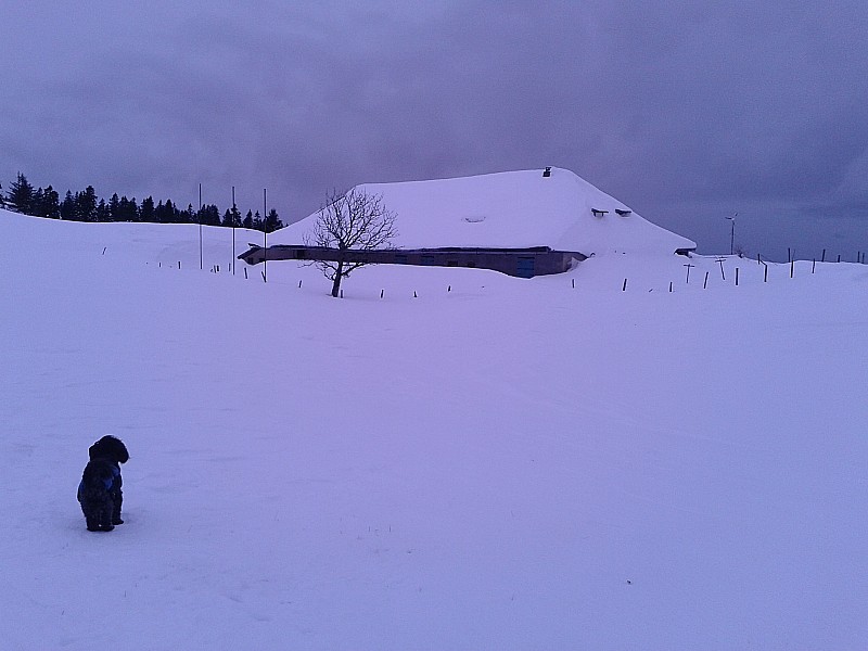 #1 Chalet Rouph : Le chalet Rouph est bien chargé Chalet Rouph : Le chalet Rouph est bien chargé
